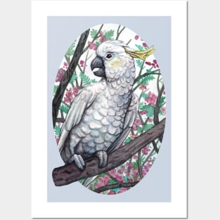 Cockatoo Posters and Art